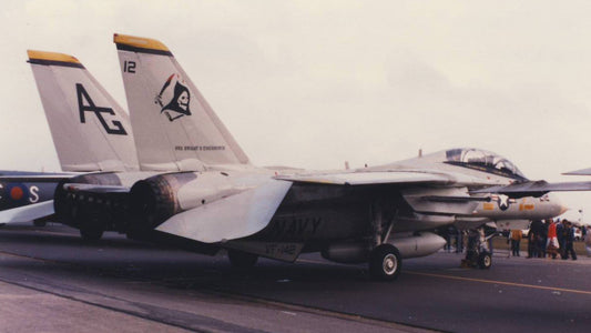 Us Navy F14 Tomcat (9703040440) (2)