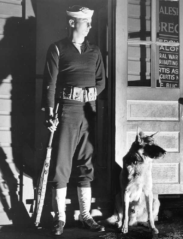 Wwii Cotp Dog1